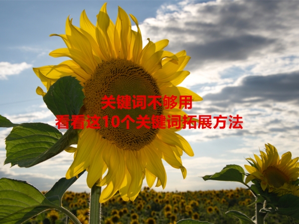 關(guān)鍵詞不夠用，看看這10個(gè)關(guān)鍵詞拓展方法！