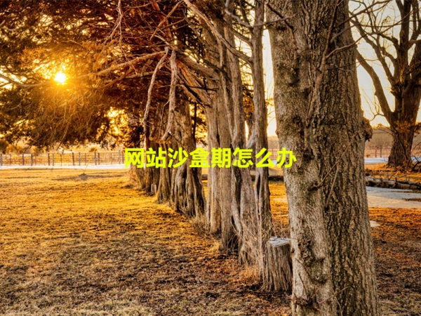 網(wǎng)站沙盒期怎么辦？